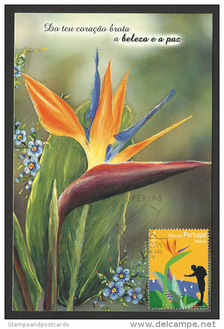 Madère Portugal Europa CEPT 2004 Carte Maximum Fleur Madeira Maxicard Europa 2004 Flower - Cartes-maximum (CM)