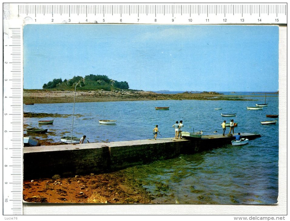 PENVENAN -  Port De Buguélès - La Cale - Penvénan