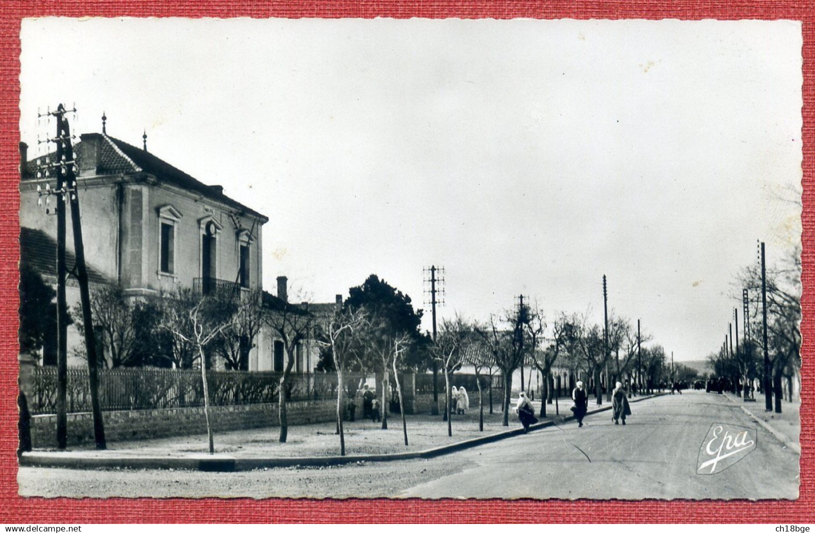 CPA : Algérie : Djelfa : Hôtel De Ville - Djelfa