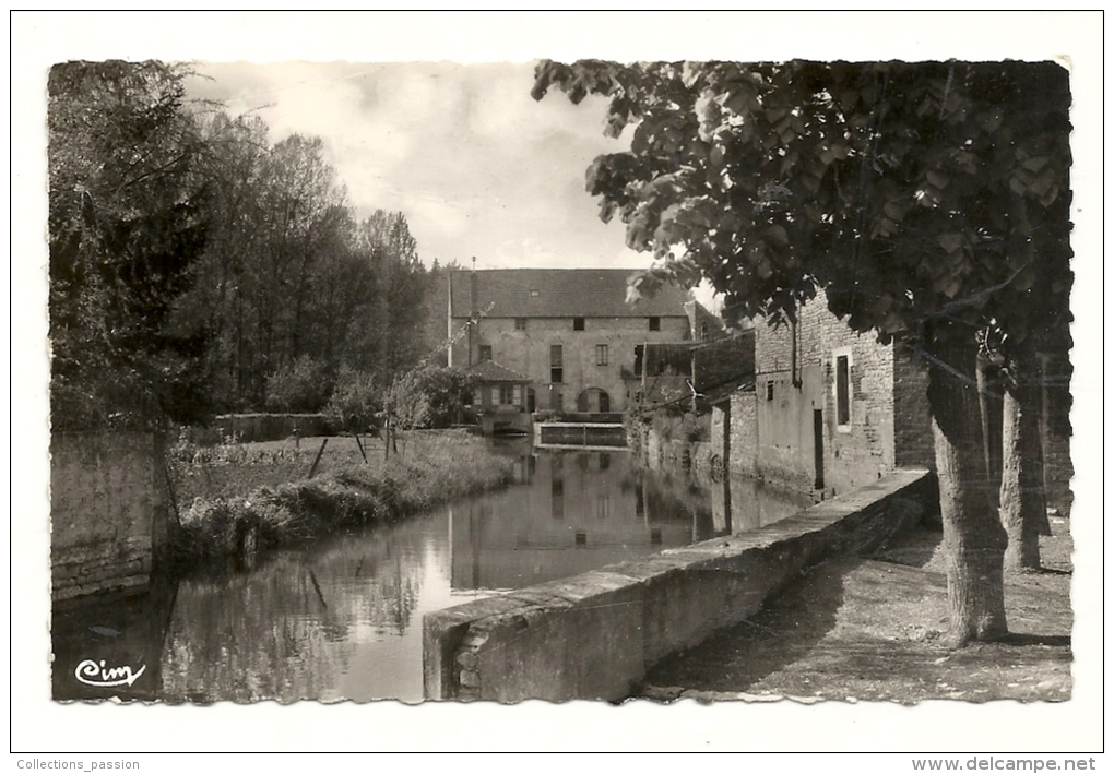 Cp, 89, L'Isle-sur-Serein, Le Moulin - L'Isle Sur Serein