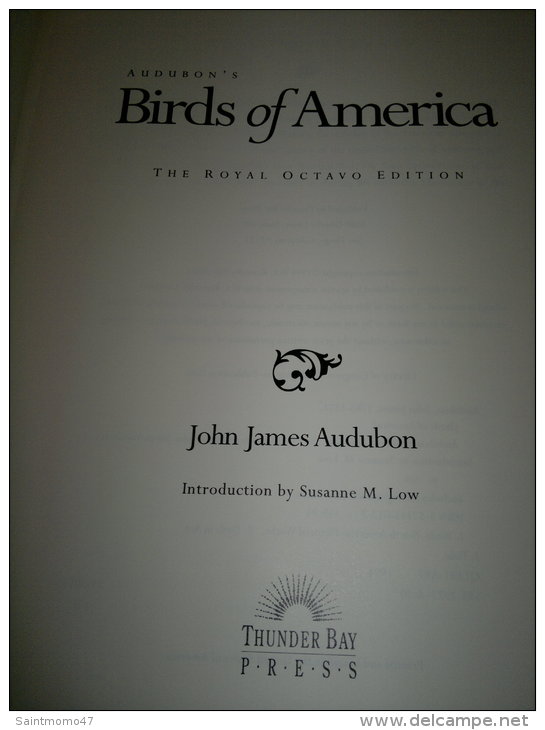 AUDUBON'S BIRDS OF AMERICA - Kultur