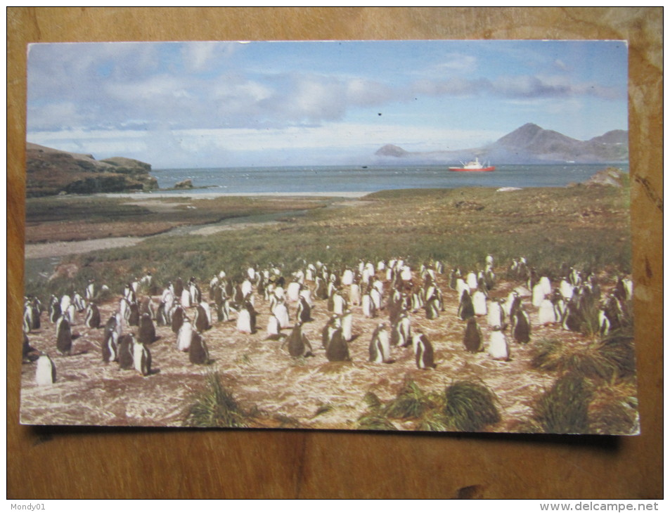 2-2930 Carte Penguin Manchot   BAT British Antarctic Survey Brise Glace Grande Bretagne Antarctique No TAAF - Antarktischen Tierwelt
