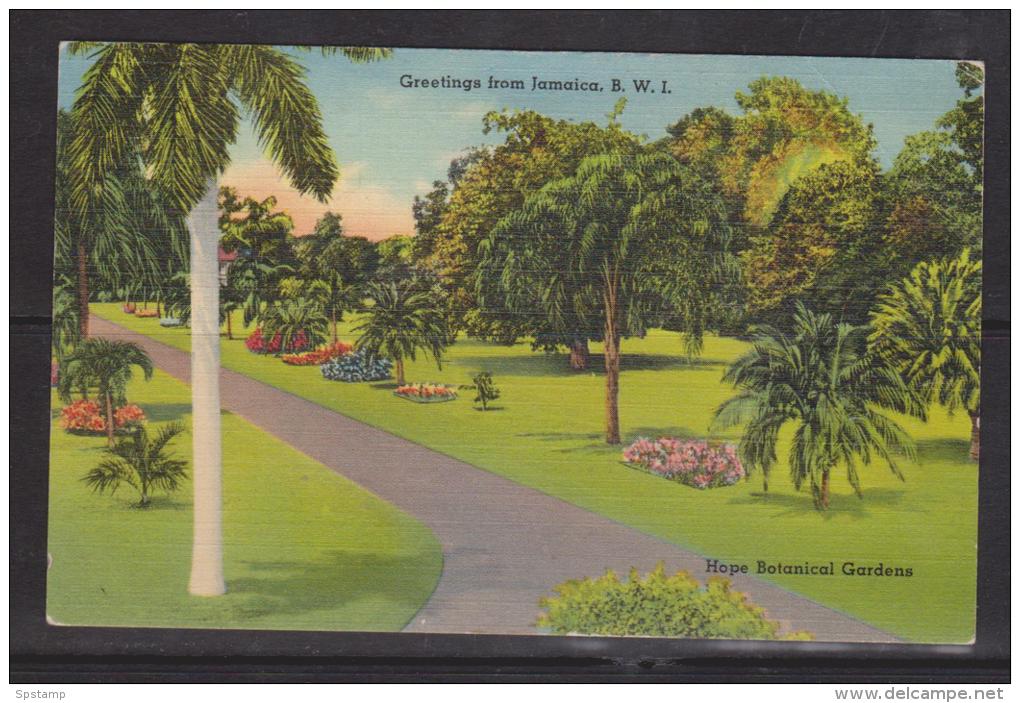 Jamaica 1940's Picture Post Card Of Botanical Gardens From Savanna La Mar To Canada 1d KGVI Adhesive - Jamaica (...-1961)