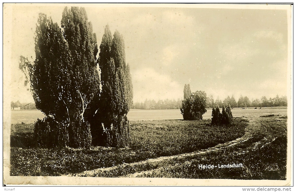 CP De HEIDE " Landschaft " . - Heide