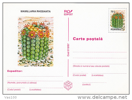 CACTUSSES, 6XPC STATIONERY, ENTIERE POSTAUX, 1997, ROMANIA - Cactusses