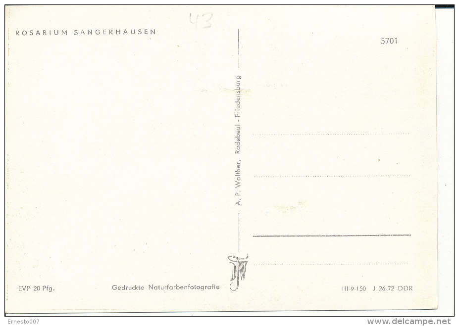 PK-CP Deutschland - ("DDR"), Sangershausen Rosarium, Ungebraucht, Siehe Bilder!*) - Sangerhausen