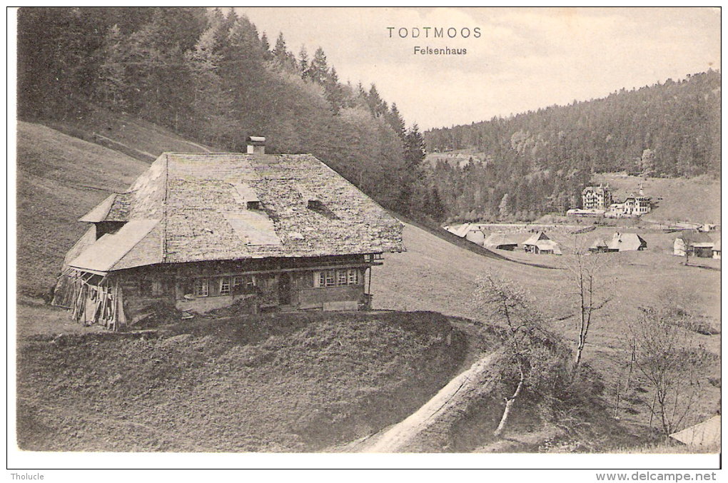 Todtmoos (Waldshut-Bade-Wurtemberg )- 1909-Felsenhaus-Maison Typique En Forêt Noire- Exp. Vers Verviers (voir Scan) - Todtmoos