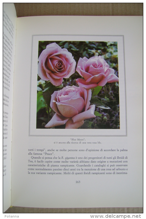 PFI/23 Allen Paterson LA STORIA DELLA ROSA Garzanti Ed. 1984/FIORI/PIANTE - Garten