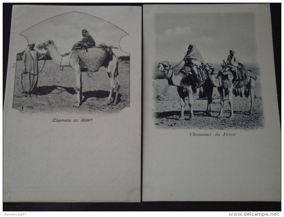 EGYPTE  - Lot De 2 CPA - CHAMEAU Du Désert - Chameliers - Non Voyagées - Persons