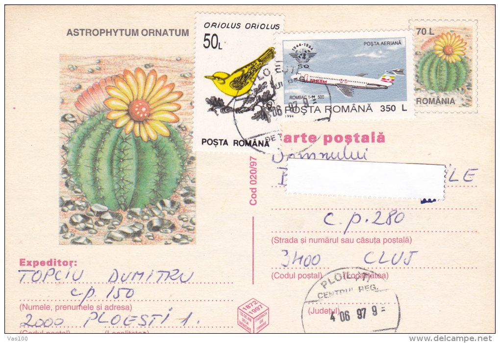 ASTROPHYTUM ORNATUM, CACTUS , DESERT, PC, POST CARD, 1997,ROMANIA - Cactus