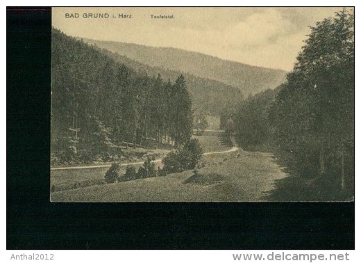 Litho Bad Grund Harz Teufelstal Weg Um 1915 - Bad Grund