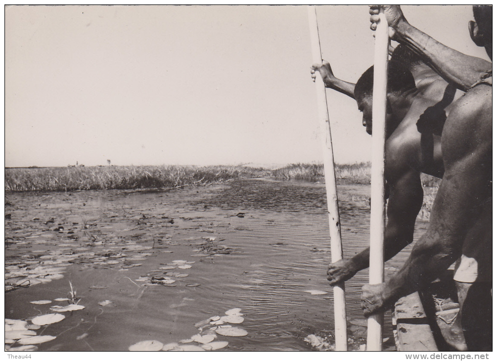 &curren;&curren;  ZAMBEZE    -   Rameurs Sur Le Fleuve - Zambia