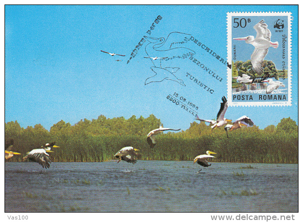 PELICANS,WHITE STORK, CM, MAXICARD, CARTES MAXIMUM, 1986, ROMANIA - Pelicans