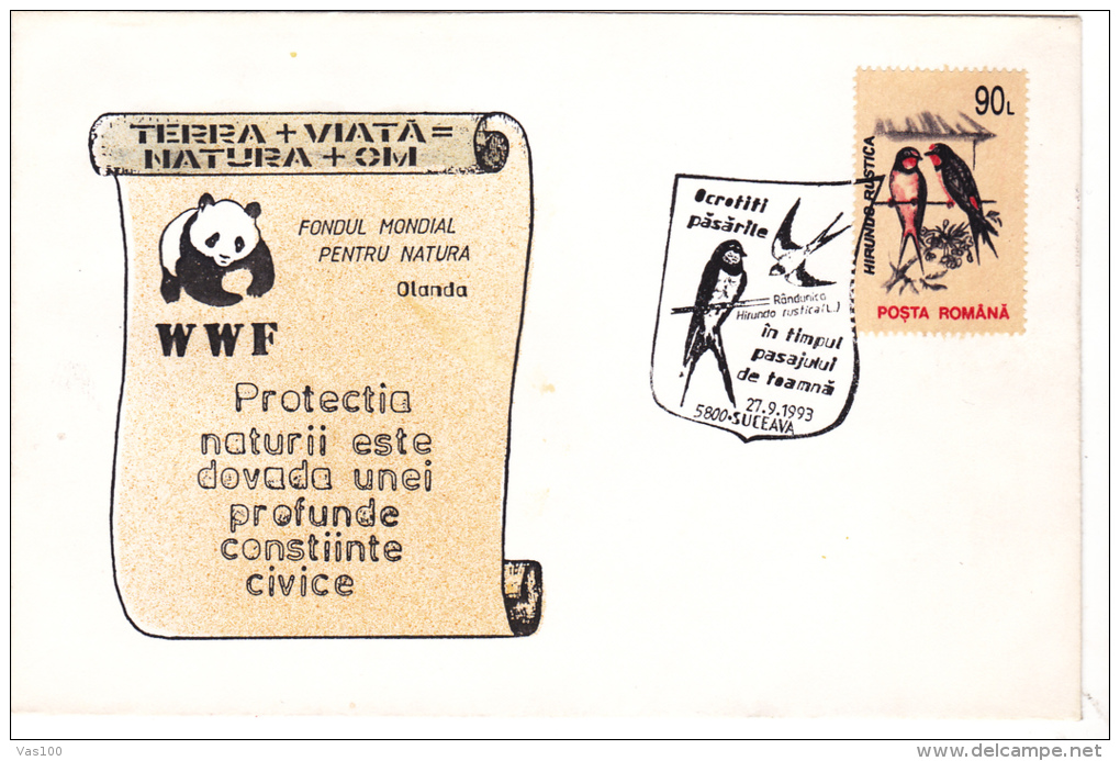 SAND MARTIN, SPECIAL COVER,1993,ROMANIA - Schwalben