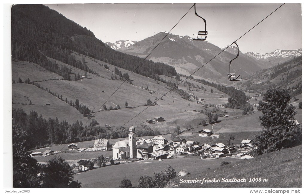 N7889 Sommerfische Saalbach   2 Scans - Zell Am See