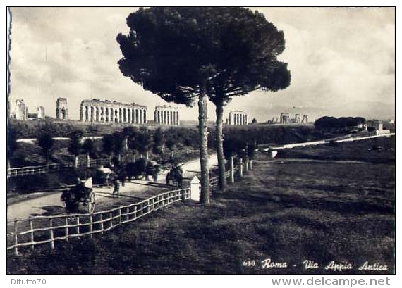 Roma - Via Appia Antica - 640 - Formato Grande Viaggiata - Parks & Gärten