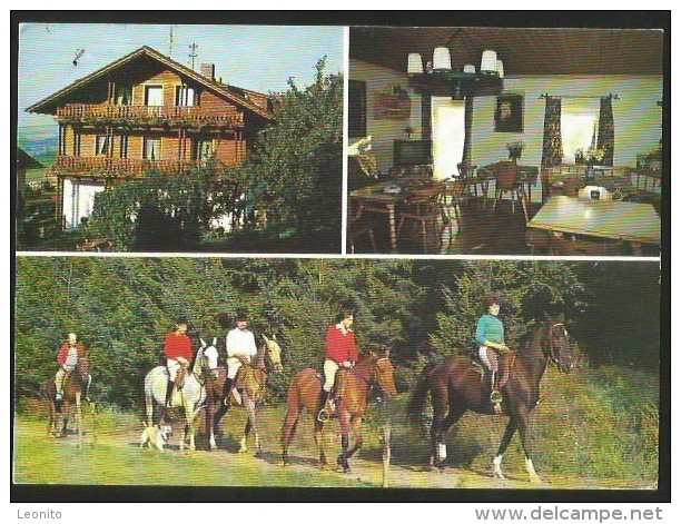 PFERDEHOF WOLFAU Kirchberg Bayern Regen 1979 - Regen