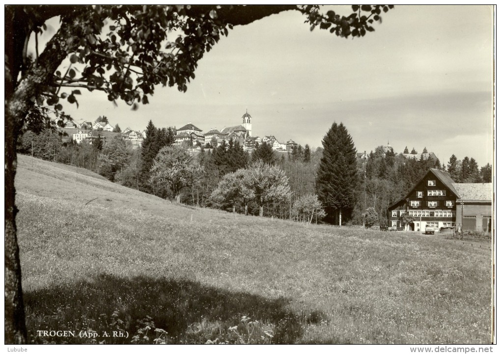 Trogen - Blick Unterhalb Des Dorfes           Ca. 1950 - Trogen