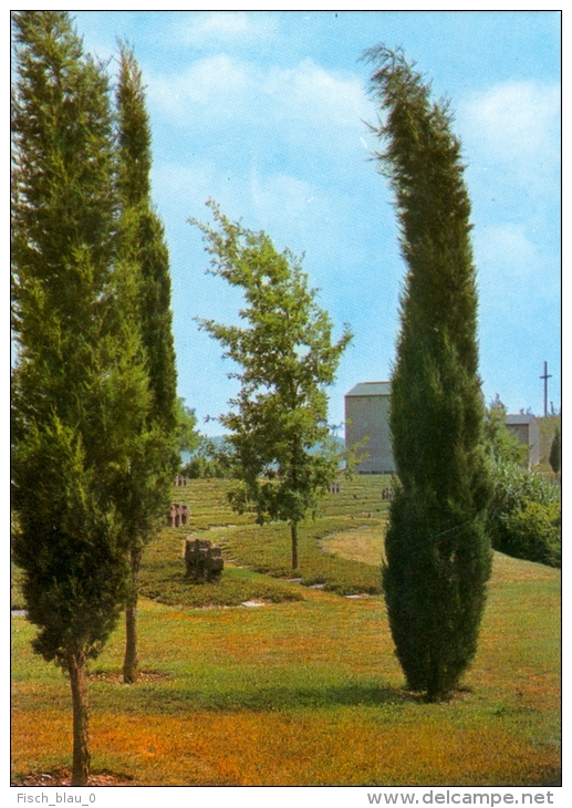 1) AK Deutscher Soldatenfriedhof Costermano Italien Friedhof Deutschland Militär Military Soldiers Soldaten - Cimetières Militaires