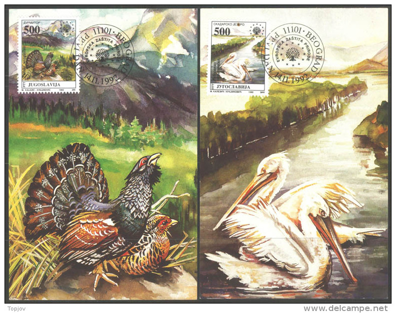 YUGOSLAVIA - JUGOSLAVIA - EUROPIAN PROTECT NATURE - BIRDS - PELICANS - CAPERCAILLIE - 1992 - Pelícanos