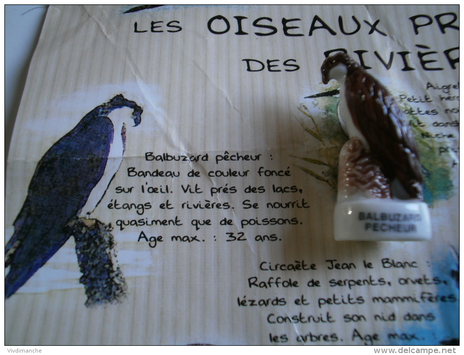 FEVE BRILLANTE -  LES OISEAUX PROTEGES DES RIVIERES -  BALBUZARD PECHEUR - WWF - Animaux