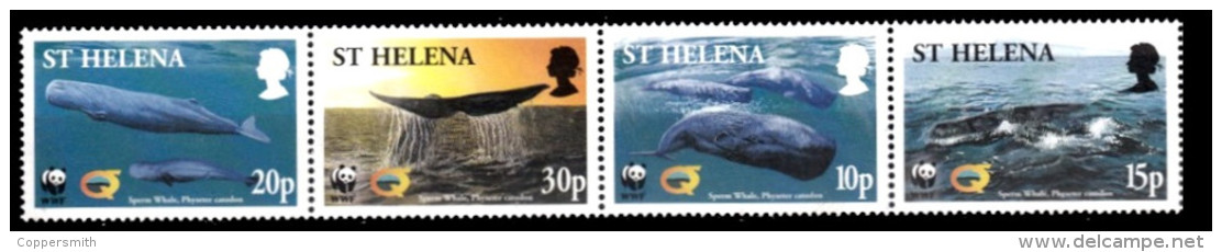 (007) St. Helena  WWF / Animals / Animaux / Tiere / Dieren / Whales / Baleines / Wale  ** / Mnh  Michel 852-55 - St. Helena