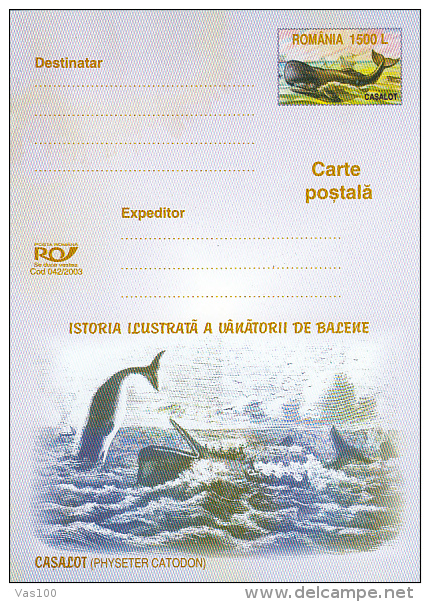 WHALE, PC STATIONERY, ENTIER POSTAL, 2003, ROMANIA - Wale