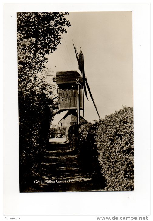 Geel  De Molen Gansakker Uitg.dille - Geel