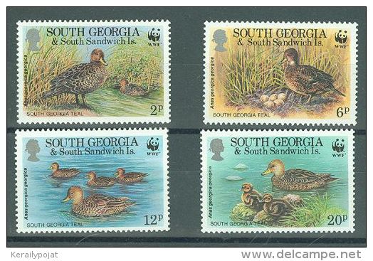 South Georgia - 1992 Ducks MNH__(TH-487) - South Georgia