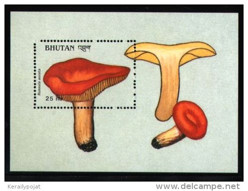 Bhutan - 1989 Mushrooms Block (1) MNH__(THB-1531) - Bhoutan