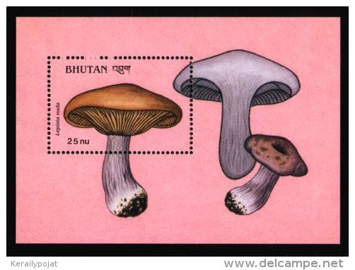 Bhutan - 1989 Mushrooms Block (7) MNH__(THB-1530) - Bhutan