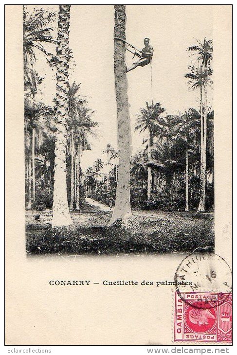 Afrique noire  Guinée  Conakry: 1 lot de   20  cartes diverses  (voir scan)