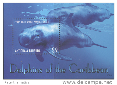 ANTIGUA,2013,DOLPHINS, SHEETLET+ S/SHEET,MNH . - Dauphins