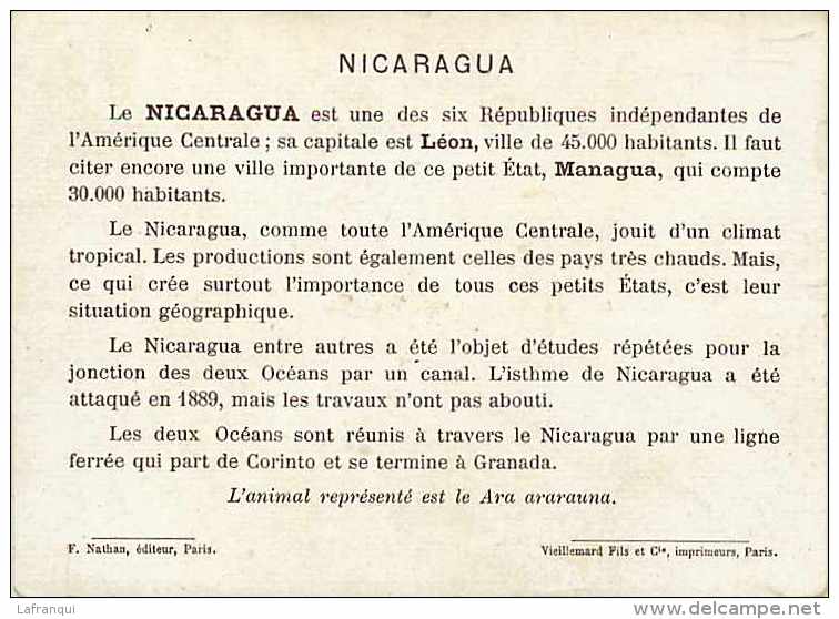 Pays Divers -ref A385-nicaragua  - Perroquet  -carte Bon Etat  - - Nicaragua