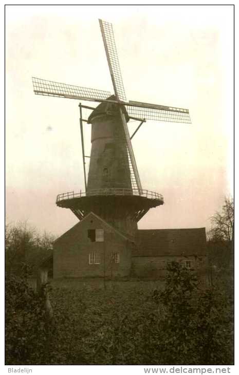 RANST (Antw.) - Molen/moulin - De Stenen Molen Omstreeks 1925 - Mooie Opname Van Origineel Glasnegatief! (maxikaart) - Ranst