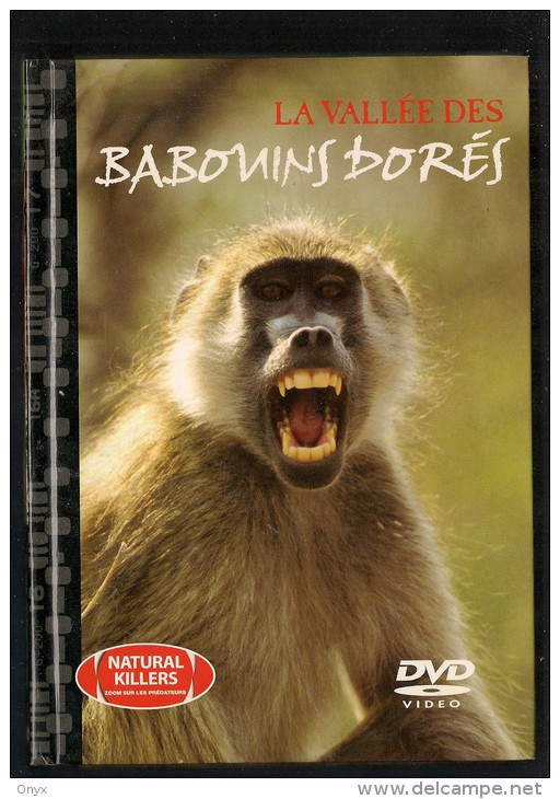 DVD - LA VALLEE DES BABOUINS DORES - Documentary