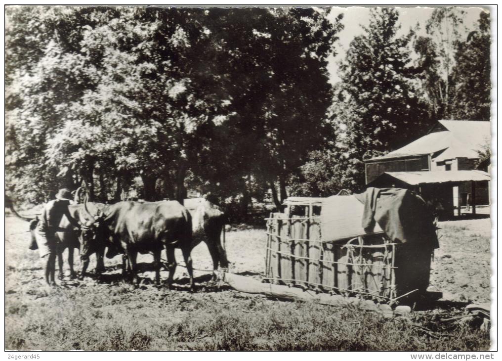 CPSM ZAMBIE ATTELAGE - Ambulance Zambèze - Sambia