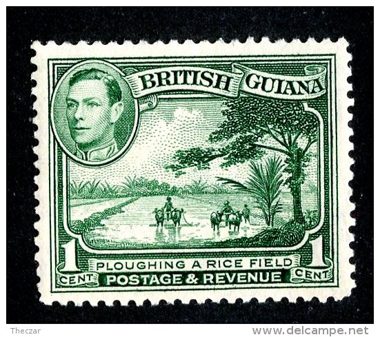 126 X)  Br.Guiana 1938  SG.308a ~    Mnh** - British Guiana (...-1966)