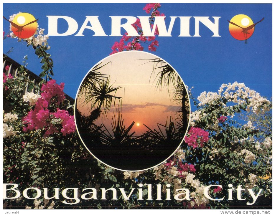 (333) Australia - NT - Darwin City Of Bougainvillia - Darwin