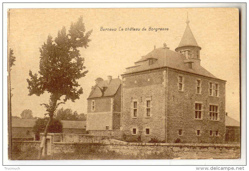 E3151 - BERNEAU  -  Le Château De Borgraeve - Dalhem