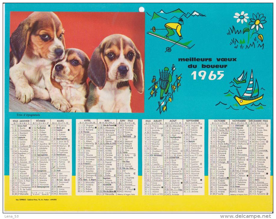 Calendrier 1965 - Meilleurs Voeux Du Boueur - Format Env. 21x27cm ( Thème Chien / Basset ) - Formato Grande : 1961-70