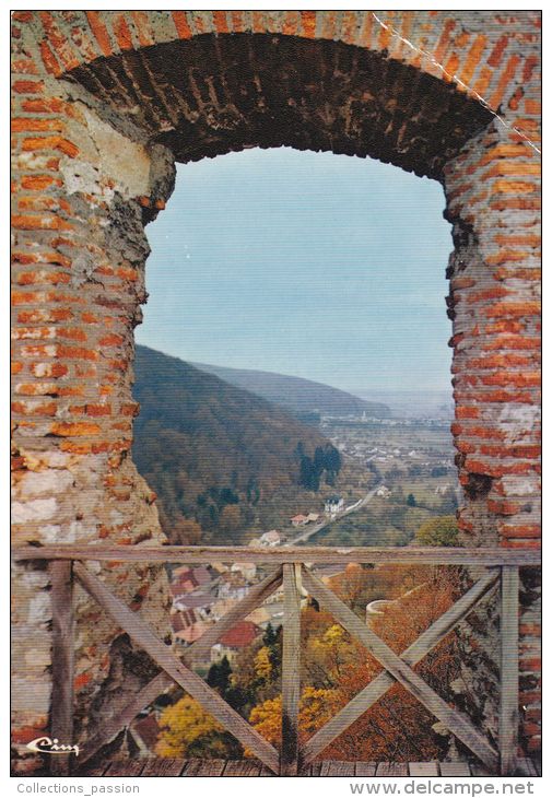 Cp , 68 , FERRETTE , Vue Sur La Ville Du Château Supérieur (XIe S.) , Le Jura Alsacien - Ferrette