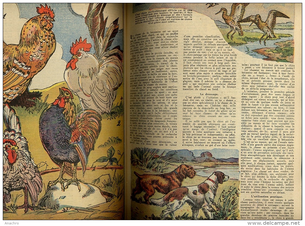 RUSTICA Supplément CALENDRIER 1952 PIGEONS CHASSE COIFFES TRADITION  JEUX OLYMPIQUES / 98 Pages - Jardinage