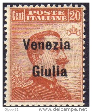 1918 Venezia Giulia - F.lli Italiani Del 1901-18 Soprastampati 'Venezia Giulia' 20 C - Venezia Giulia