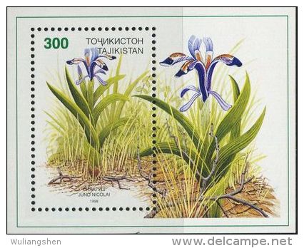 MD0803 Tadjikistan 1998 Alpine Flowers M MNH - Tadjikistan