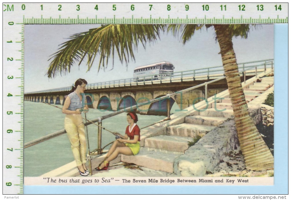 Key West Florida ( The Buss That Goes To Sea On The Seven Mile Bridge  ) Post Card Carte Postale 2 Scans - Key West & The Keys