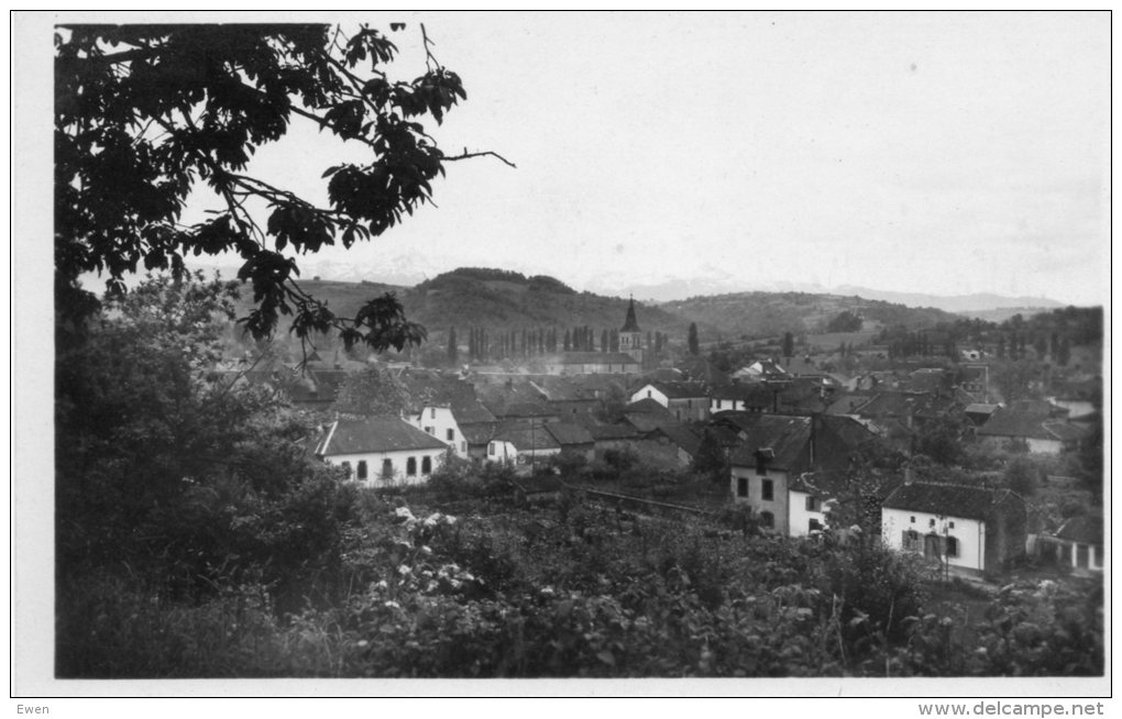 Tournay. Vue Générale. - Tournay