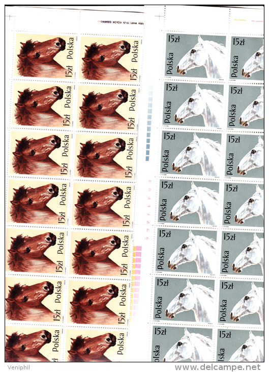 POLOGNE -SERIE CHEVAUX N° 2997 A 3002  EN BLOC DE 14 BDF -TTB  COTE : 42 € - Used Stamps