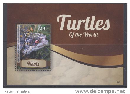 NEVIS,2013,TURTLES, TURTLES OF THE WORLD, SHEETLET+ S/SHEET, MNH , - Tortues