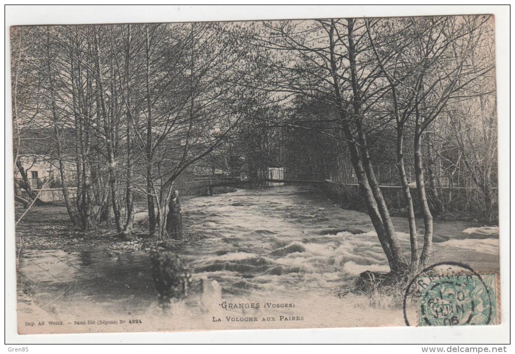 CPA GRANGES, PETITE ANIMATION, LA VOLOGNE AUX PAIRES, VOSGES 88 - Granges Sur Vologne